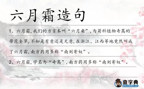 六月霜造句