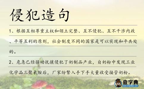 侵犯造句