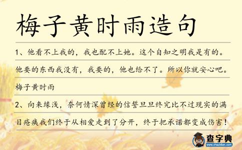 梅子黃時雨造句