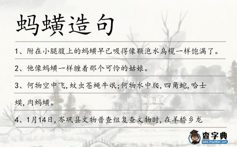 螞蟥造句