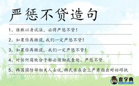 嚴懲不貸造句