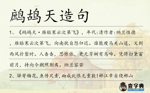 鷓鴣天造句