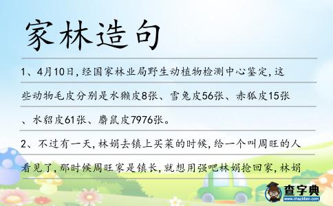家林造句