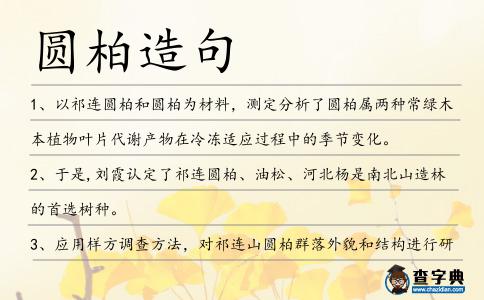 圓柏造句