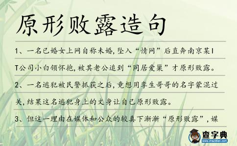 原形敗露造句