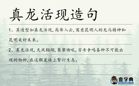 真龍活現(xiàn)造句