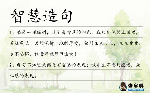 智慧造句