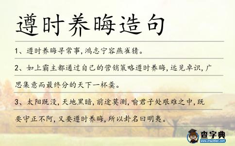 遵時養晦造句