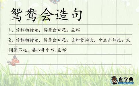 鴛鴦會造句