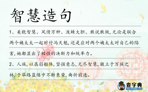 智慧造句