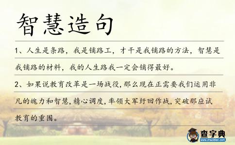 智慧造句