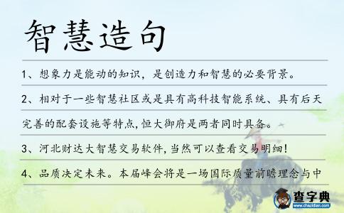 智慧造句