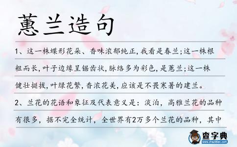 蕙蘭造句