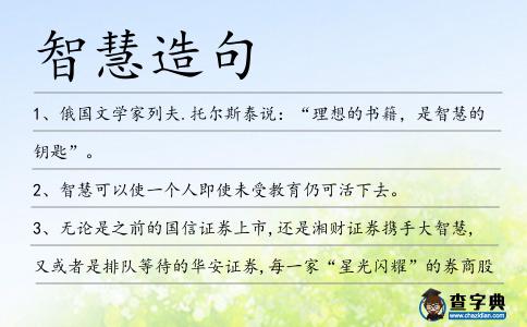 智慧造句