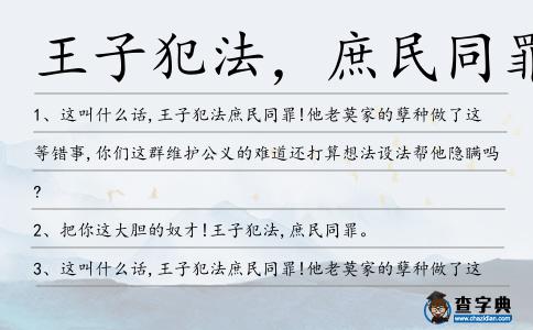 王子犯法,庶民同罪造句