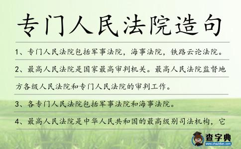 專門人民法院造句