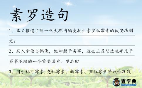 素羅造句