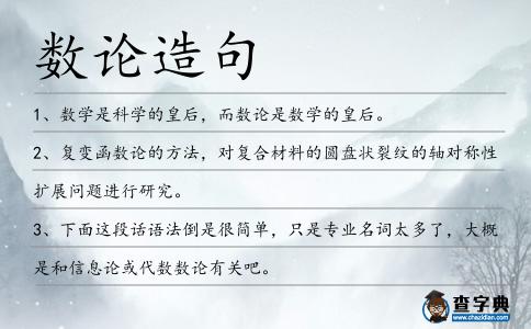 數(shù)論造句