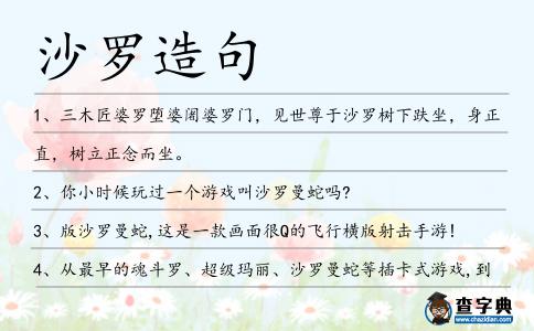 沙羅造句