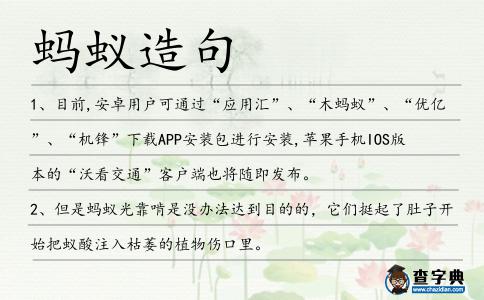 螞蟻造句