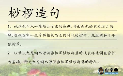 桫欏造句