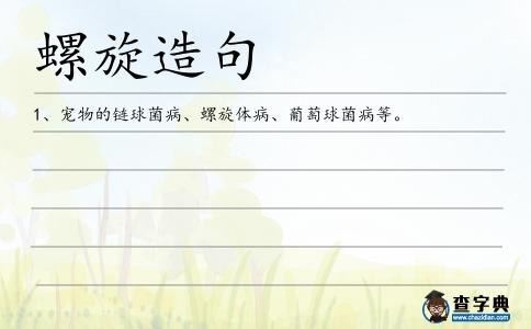 螺旋造句