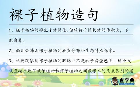 裸子植物造句