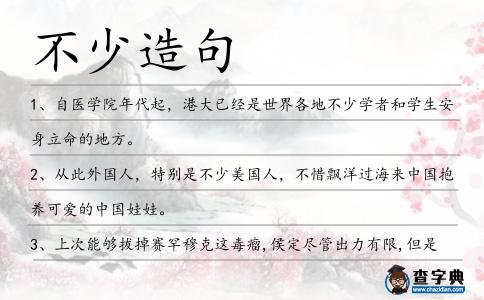 不少造句