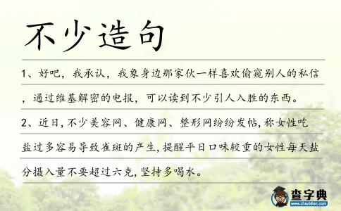 不少造句