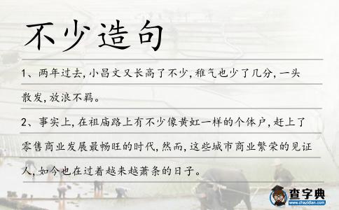 不少造句