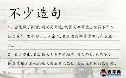 不少造句