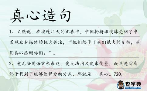 真心造句