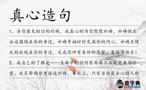 真心造句