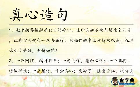 真心造句