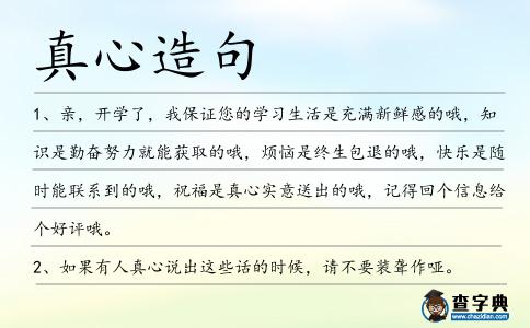 真心造句