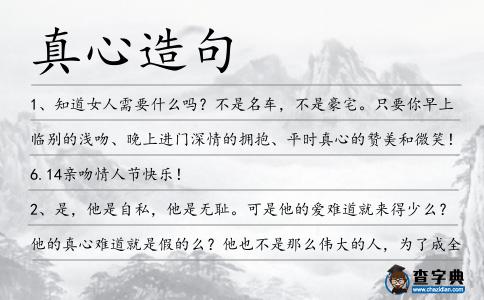 真心造句