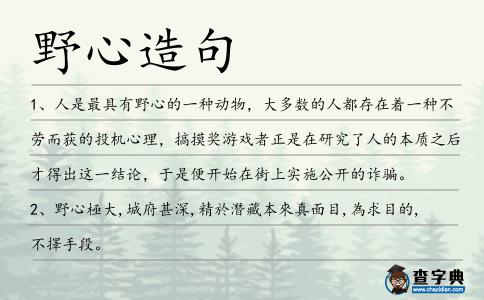 野心造句