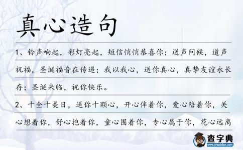 真心造句