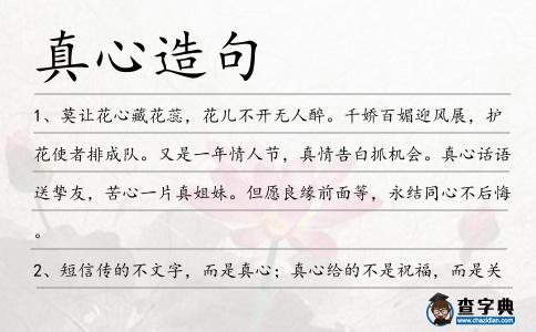 真心造句