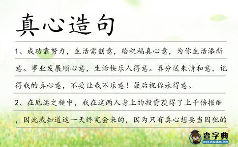 真心造句
