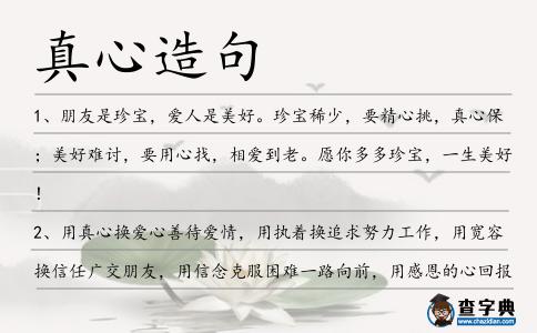 真心造句