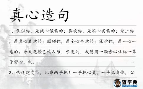 真心造句
