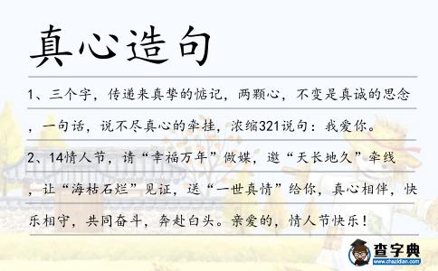 真心造句