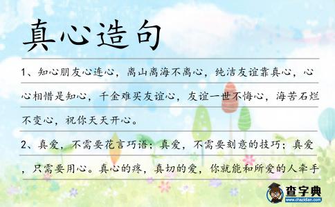 真心造句