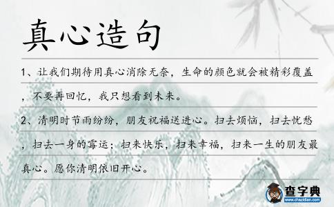 真心造句