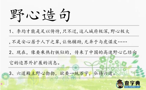 野心造句