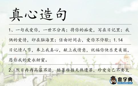 真心造句