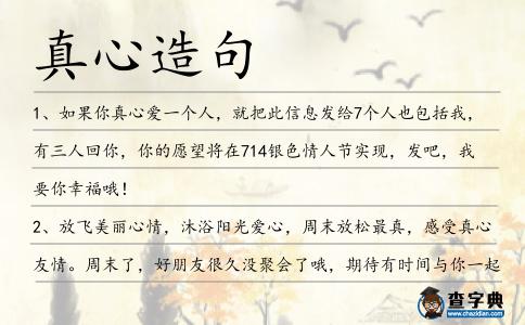 真心造句