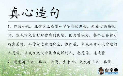 真心造句