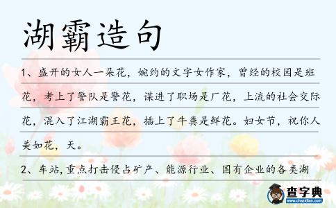 湖霸造句